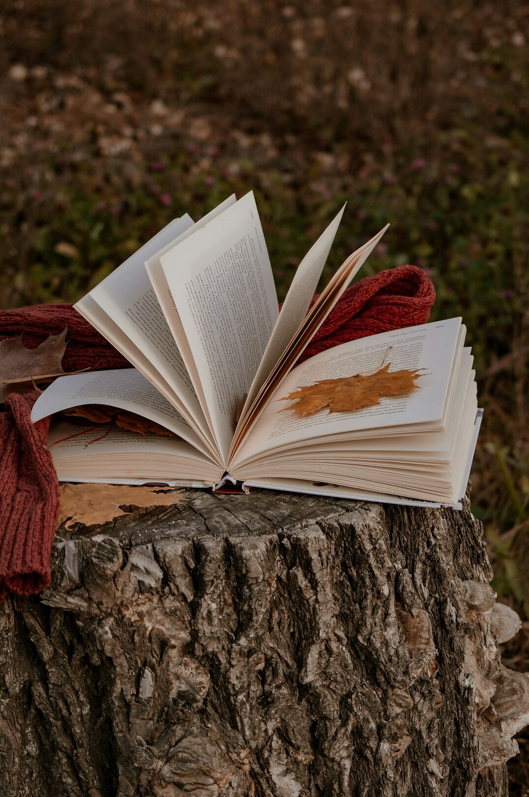 mystery book twist