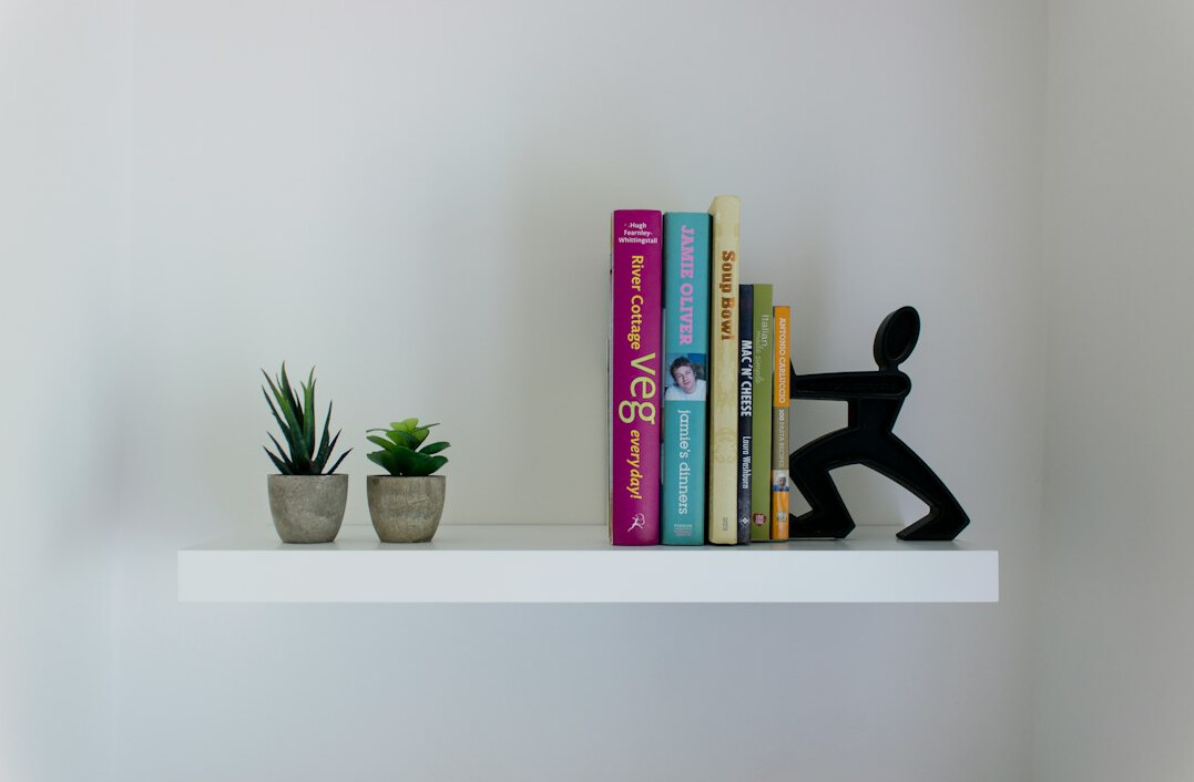bookshelf with novels